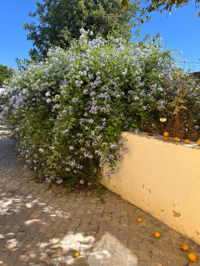 奥良Quinta Da Layla别墅 外观 照片