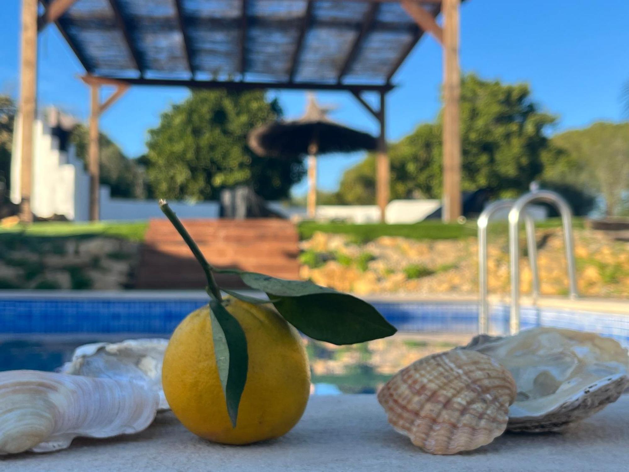 奥良Quinta Da Layla别墅 外观 照片
